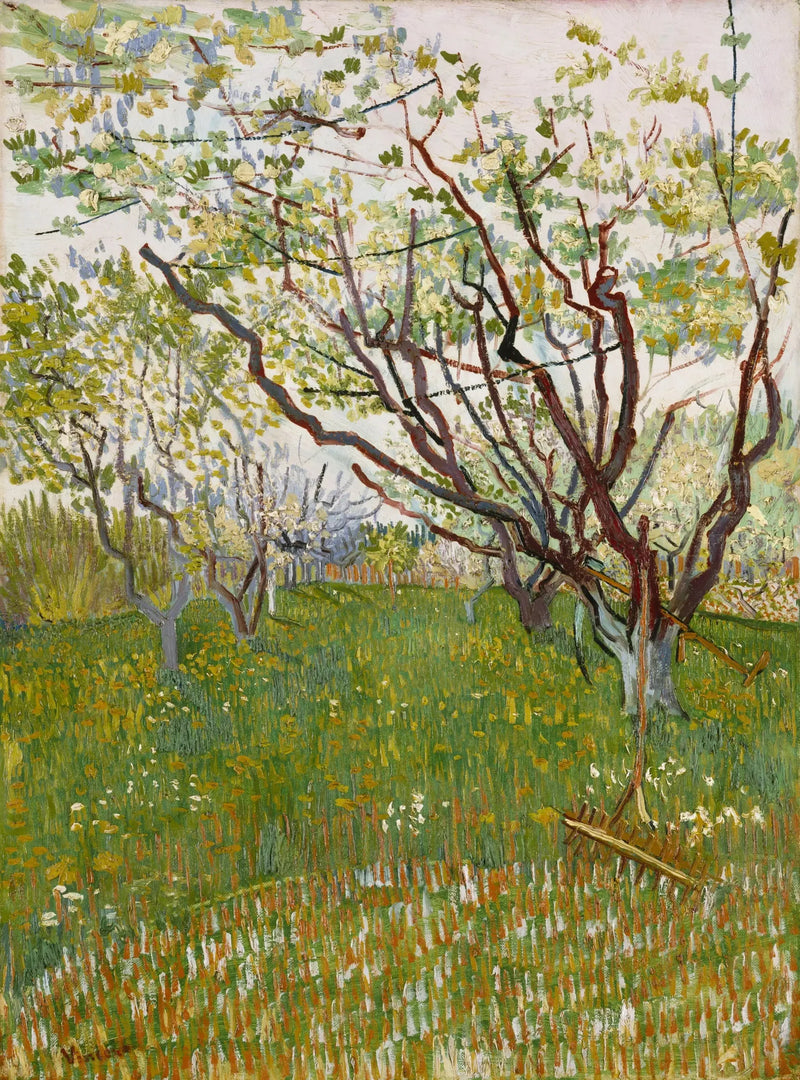 Sad w kwiecie - Vincent van Gogh