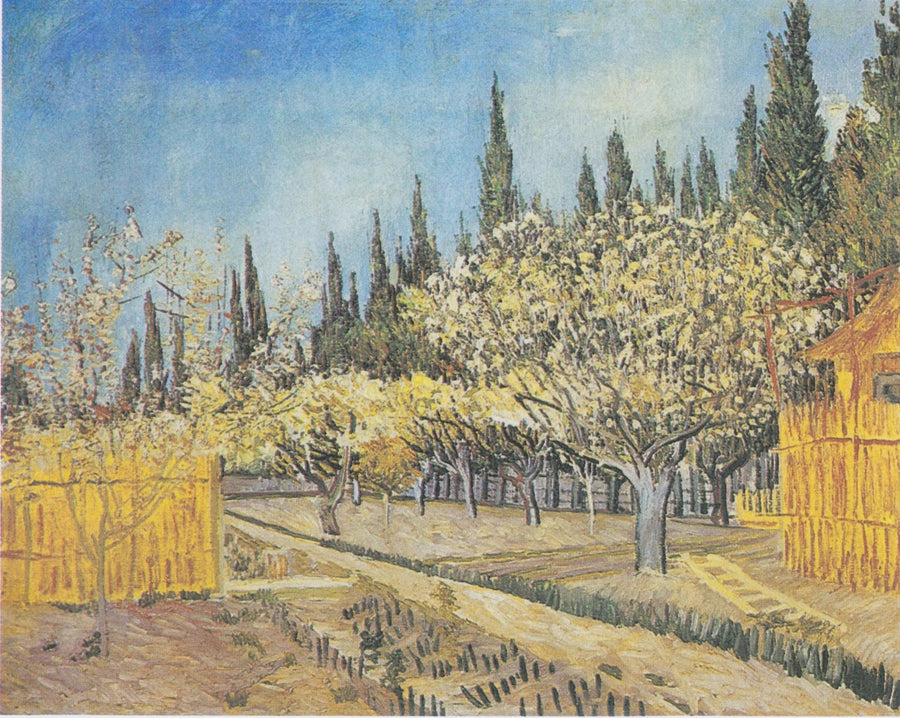 Sad w kwiecie, otoczony cyprysami - Vincent van Gogh
