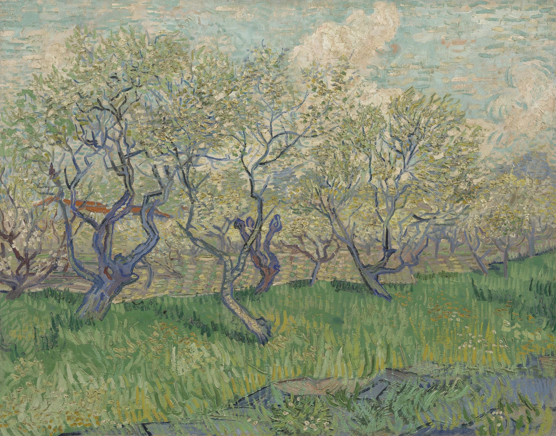 Verger en fleurs, F511 — arbres fruitiers en fleurs dans une prairie verte peints par Vincent van Gogh
