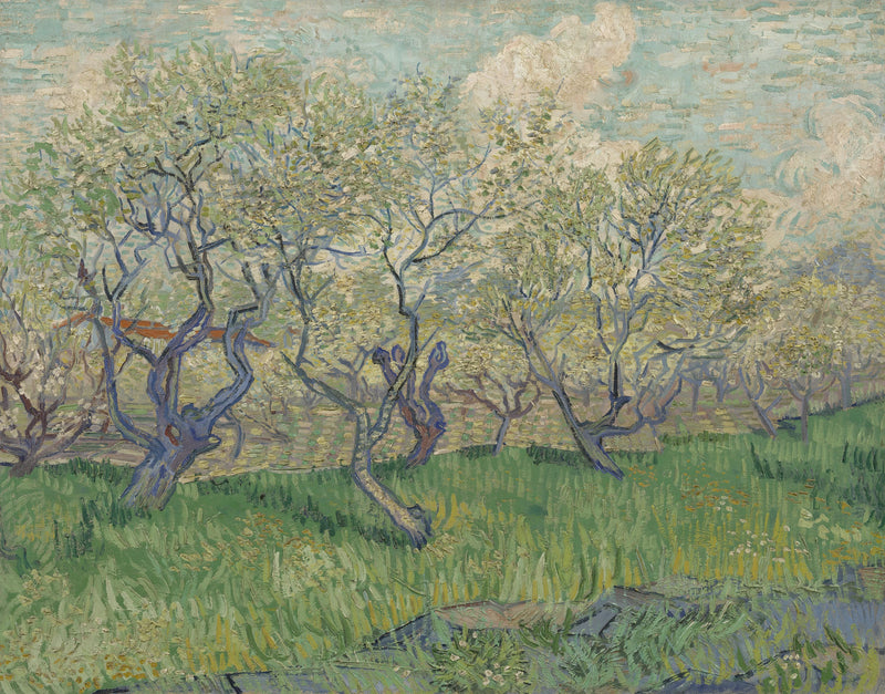 Sad w kwiecie - Vincent van Gogh