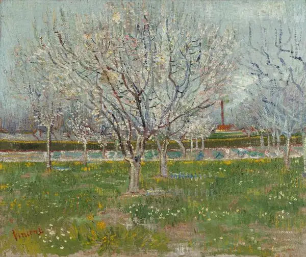 Sad w kwiecie - Vincent van Gogh
