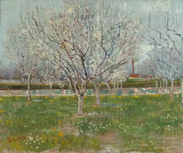 Sad w kwiecie - Vincent van Gogh