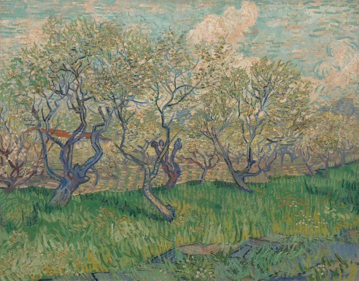 Sad w rozkwicie, F511 - Vincent van Gogh