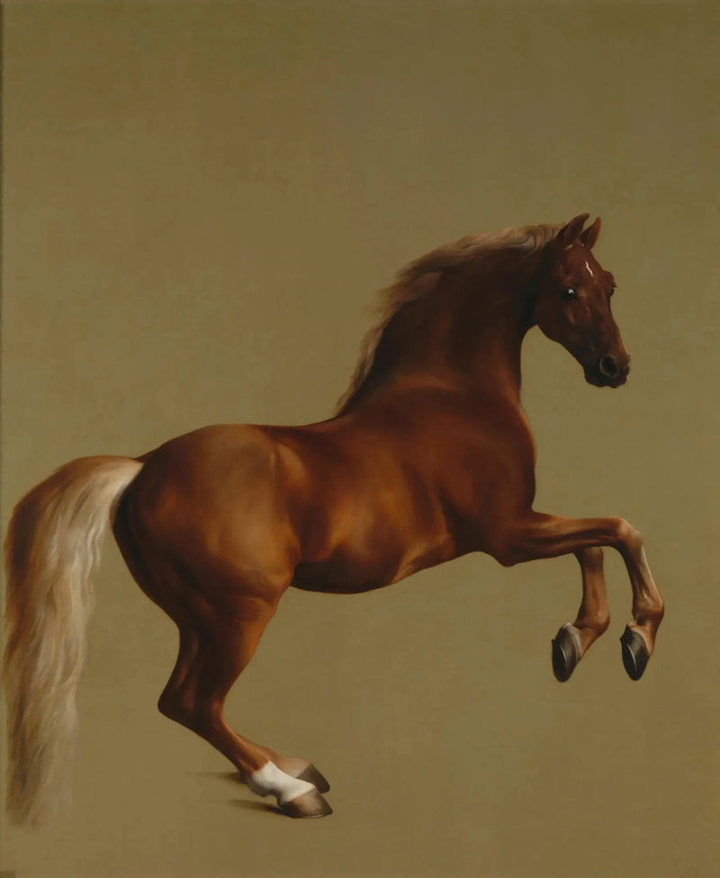  Kurtka sycząca - George Stubbs