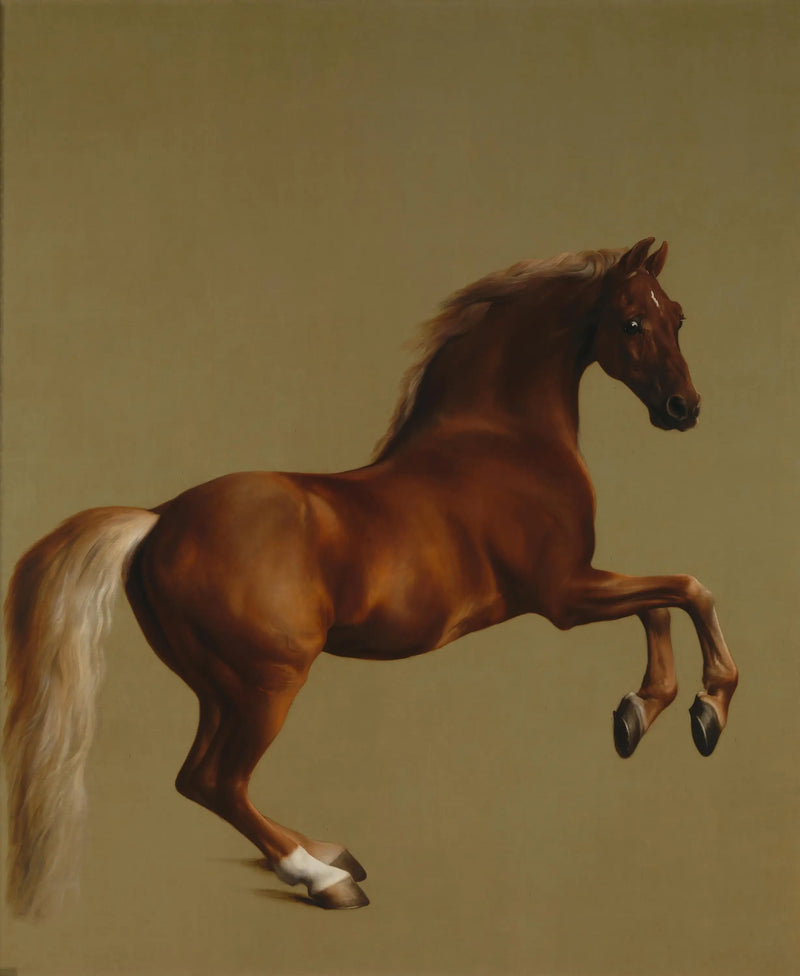  Kurtka sycząca - George Stubbs