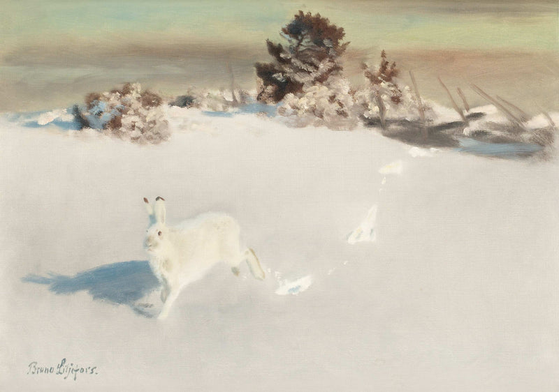 Vinterhare vid gärdesgård - Bruno Liljefors
