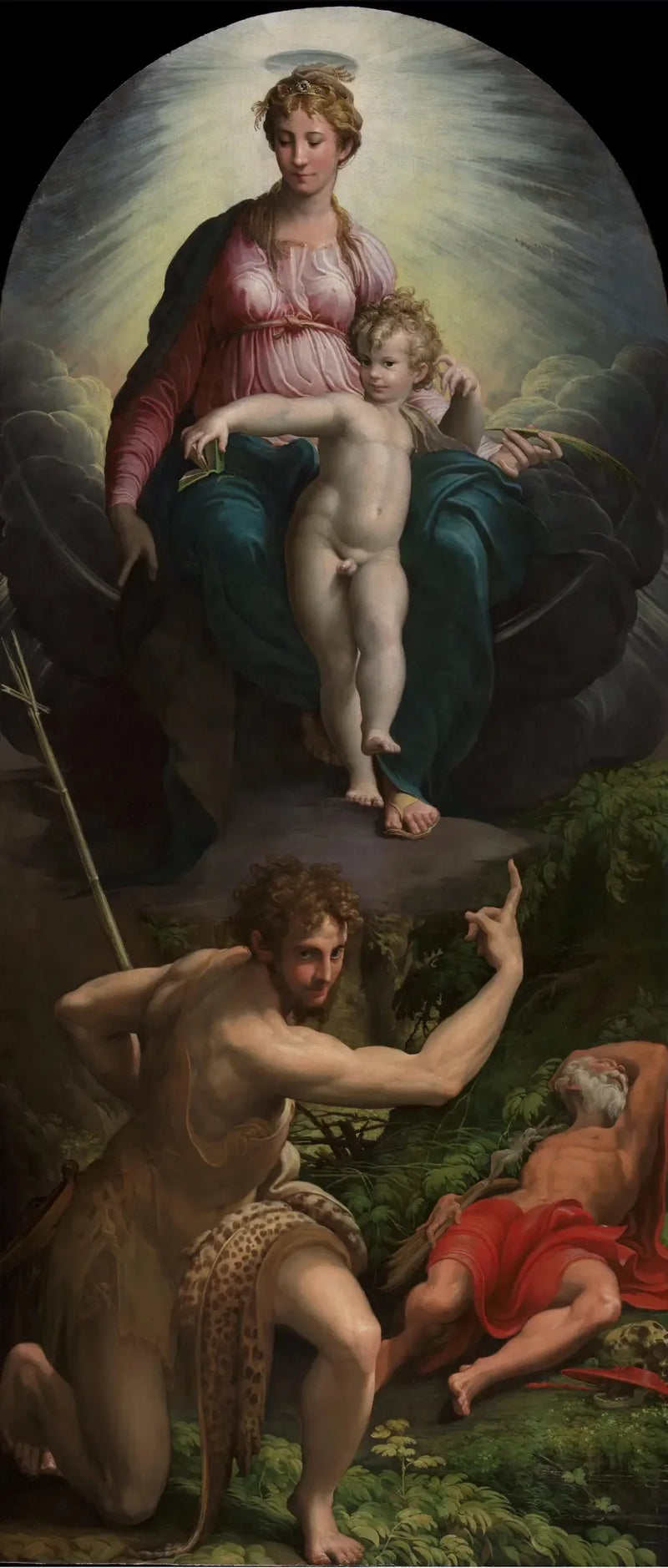 Widok świętego Hieronima - Parmigianino