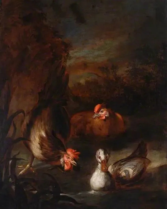 Drób - Melchior de Hondecoeter