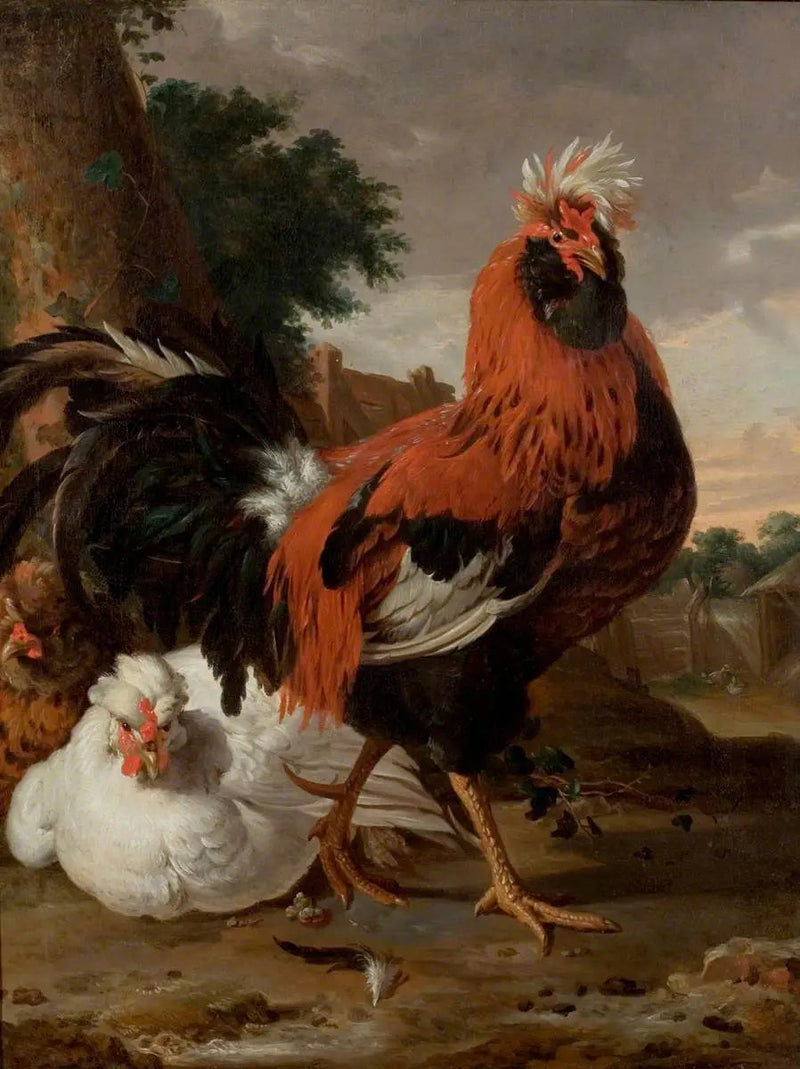 Drób - Melchior de Hondecoeter