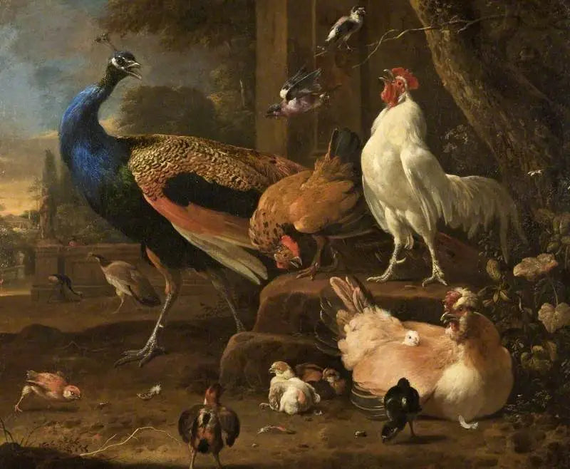 Drób - Melchior de Hondecoeter