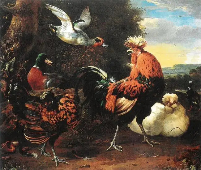 Drób - Melchior de Hondecoeter