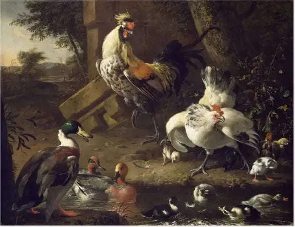 Drób - Melchior de Hondecoeter
