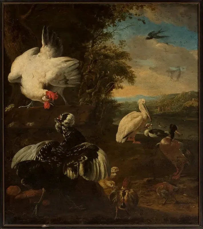 ptactwo domowe - Melchior de Hondecoeter