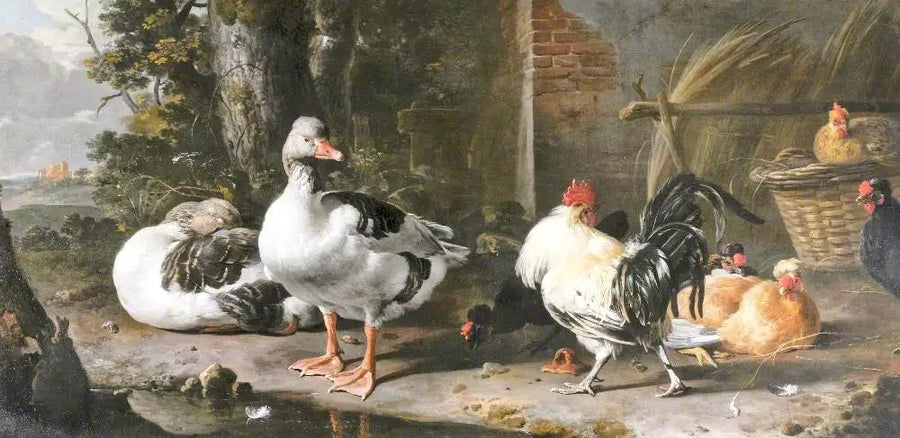 Drób i gęsi - Melchior de Hondecoeter