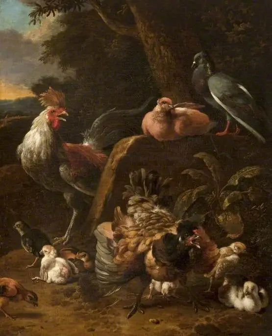 Drób i gołębie - Melchior de Hondecoeter