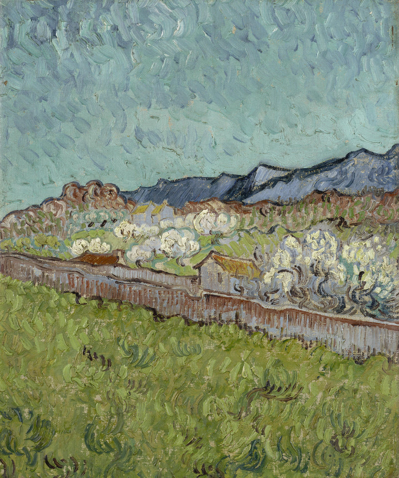 Widok na Alpilles - Vincent van Gogh