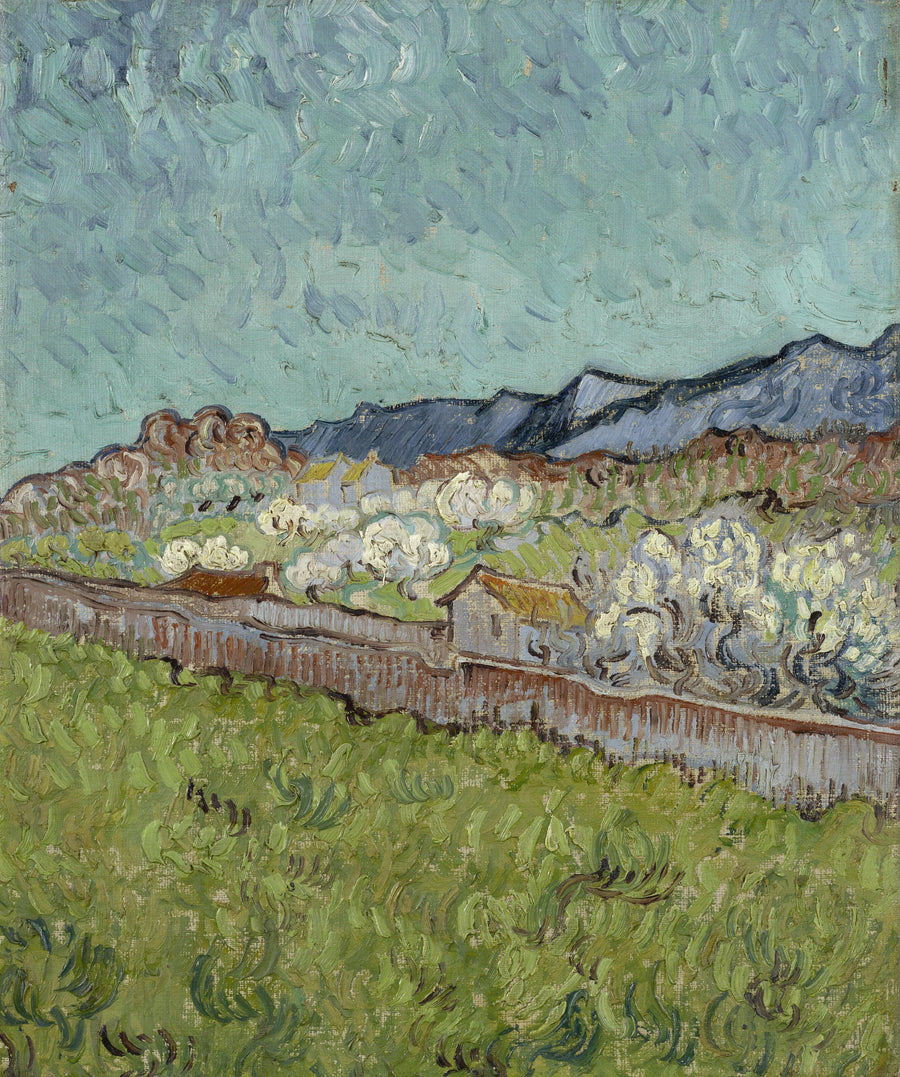 Widok na Alpilles - Vincent van Gogh
