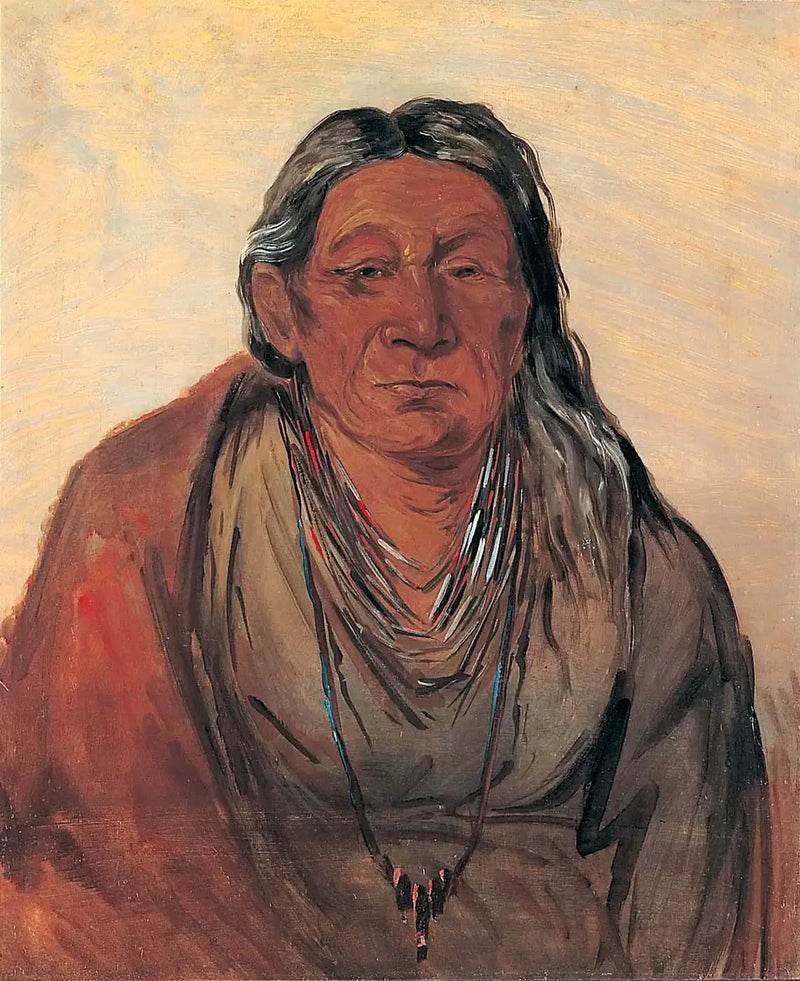 Wah-pe-séh-see, Matka Szefa - George Catlin