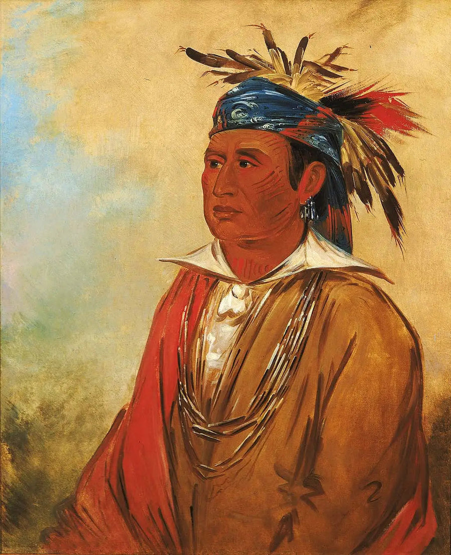 Wah-pón-jee-a, Łabędź, wojownik - George Catlin
