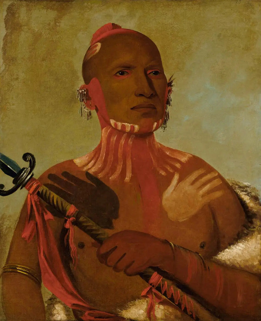Wée-sheet, głowa jesiotra, lis wojownik - George Catlin