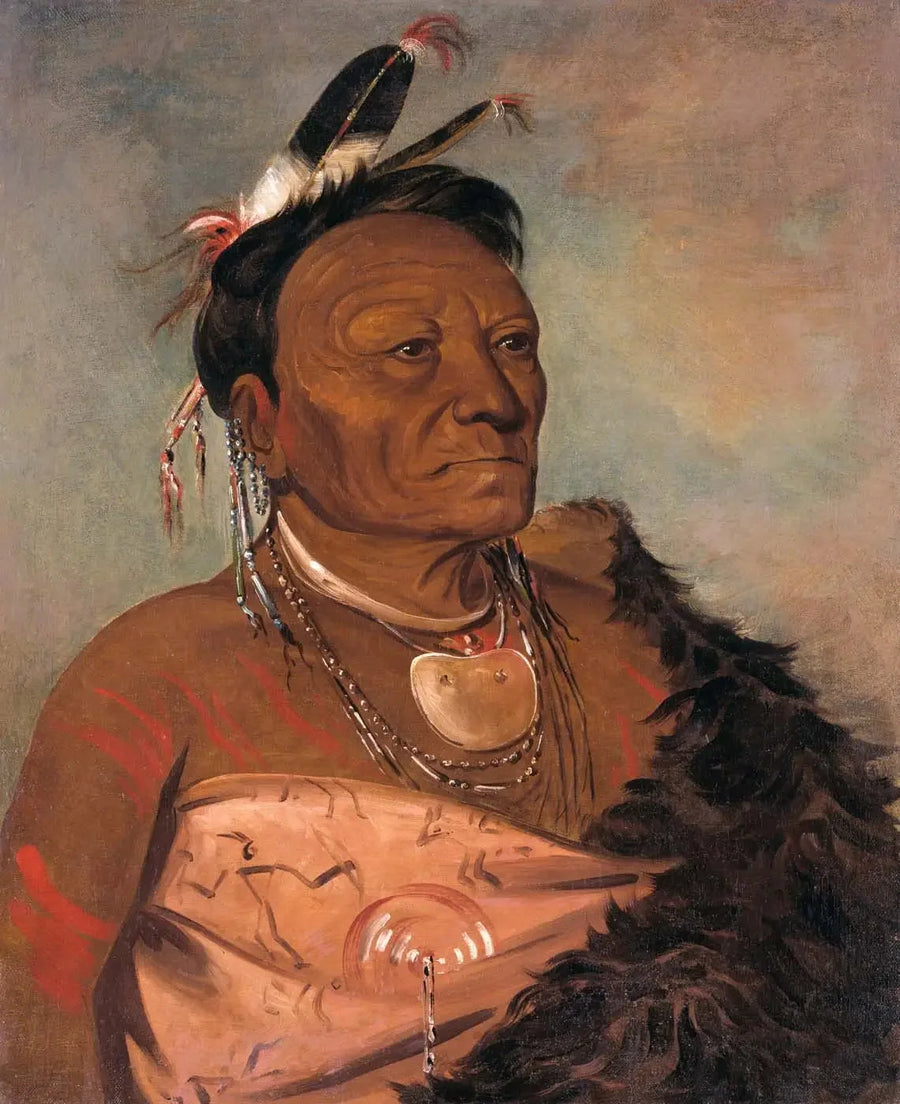 Wee-tá-ra-shá-ro, przywódca plemienia - George Catlin