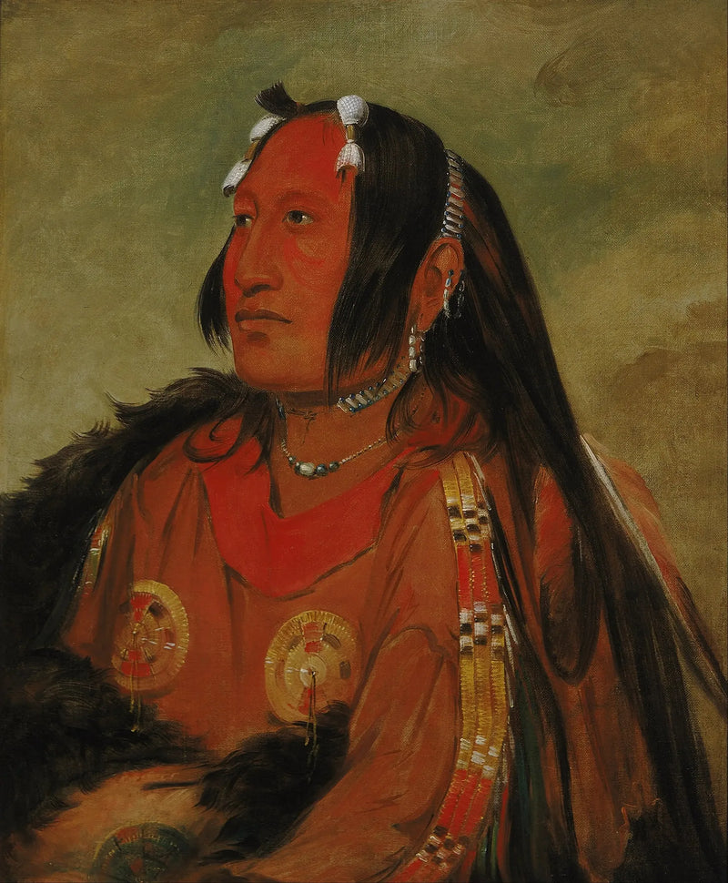 Wi-jún-jon, Głowa jajka gołębia (Światło), młody wojownik wyróżniający się - George Catlin