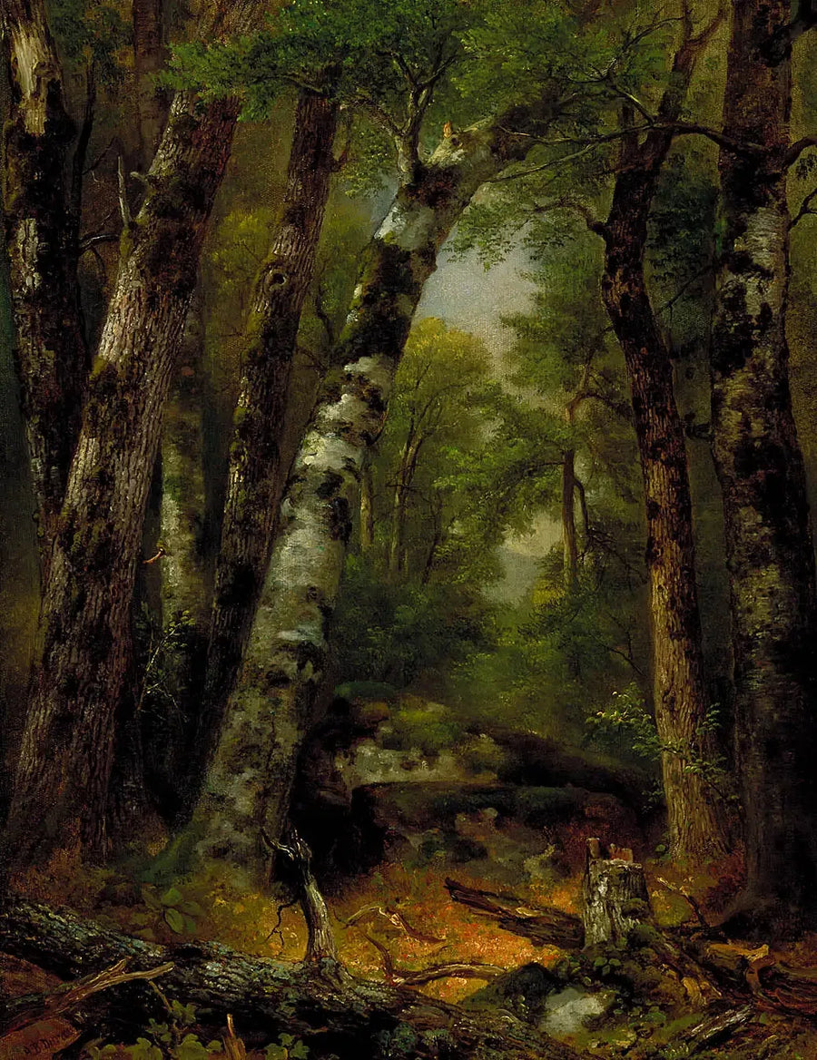 Lasowy zakątek - Asher Brown Durand
